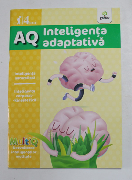 AQ - INTELIGENTA ADAPTIVA  - 4 ANI , ANII '2000