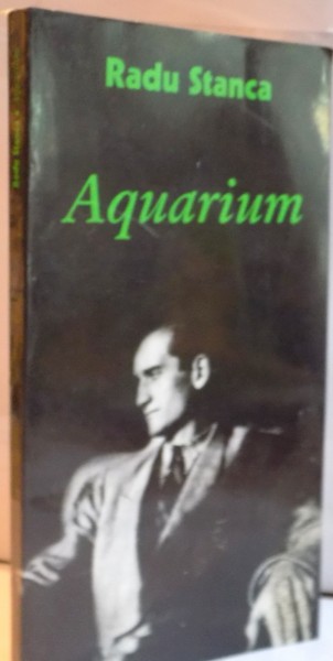 AQUARIUM , ESEURI PROGRAMATICE de RADU STANCA , 2000