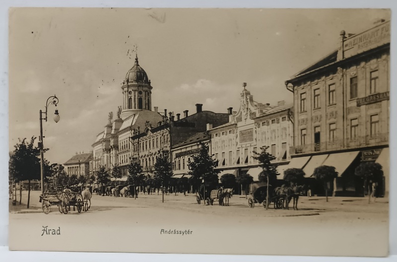ARAD , ANDRASSYTER , CARTE POSTALA ILUSTRATA , 1911