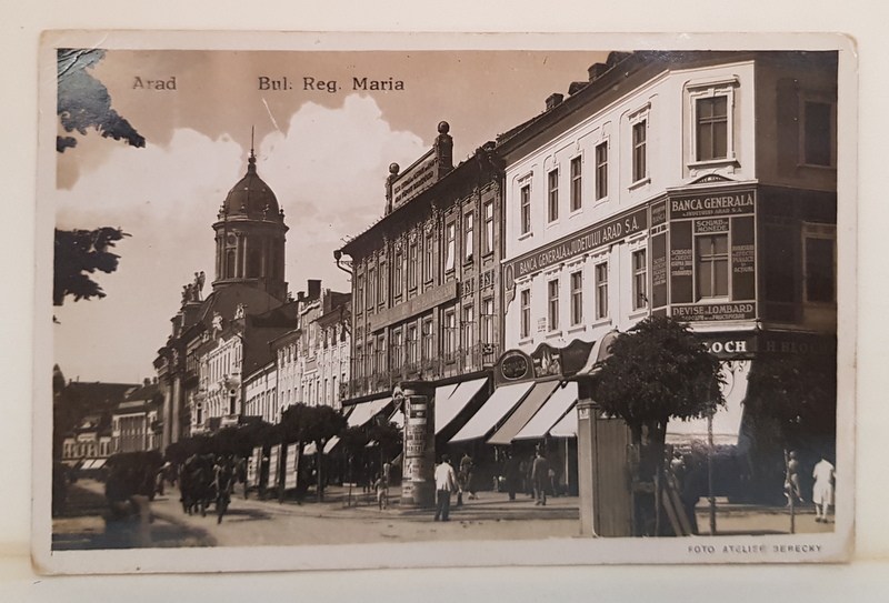 ARAD - BULEVARDUL  REGINA MARIA , CARTE POSTALA , INTERBELICA