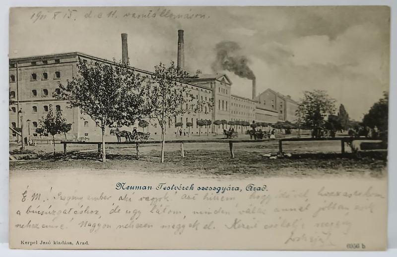 ARAD , DISTILERIA NEUMAN , CARTE POSTALA , CLASICA , DATATA 1901