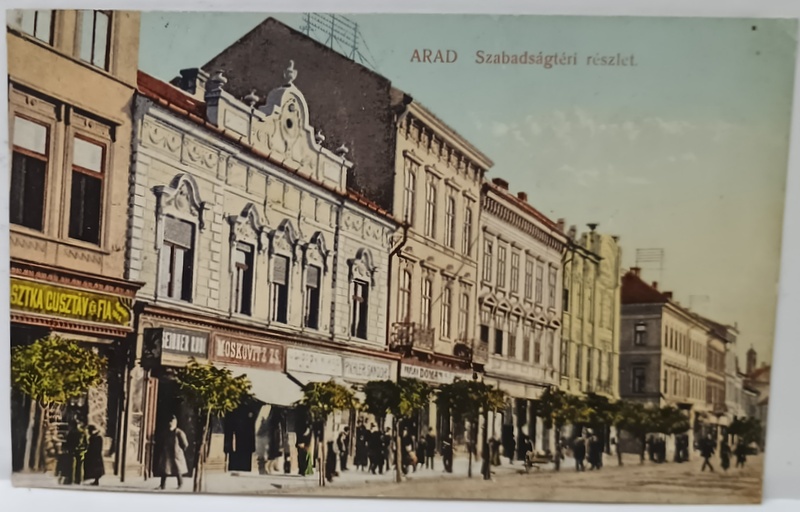 ARAD , LOCUINTE CU MAGAZINE LA PARTER , ZONA CENTRALA , ZI DE SARBATOARE , CARTE POSTALA , 1916