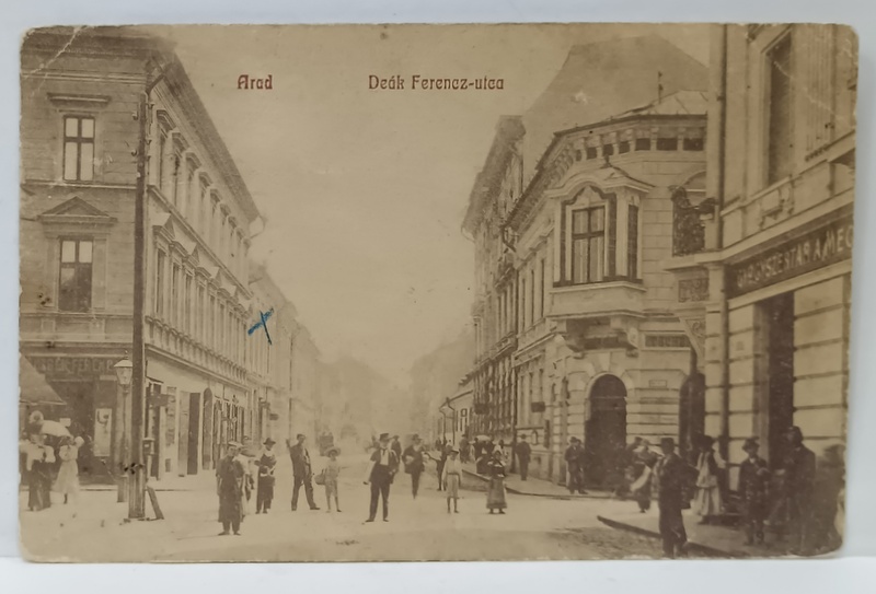 ARAD , STRADA DEAK FERENC, LOCALNICI SI CLADIRI DE LOCUIT CU MAGAZINE LA PARTER  , CARTE POSTALA ILUSTRATA , MONOCROMA (SEPIA  )  , INCEPUT DE SECOL XX