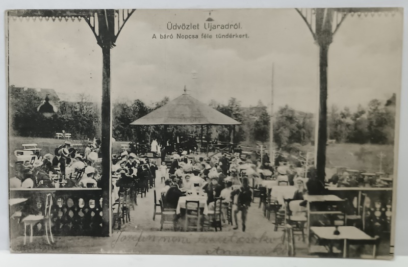 ARAD , TERASA CU MESE IN GRADINA BARONULUI NOPCSA , CARTE POSTALA , 1914