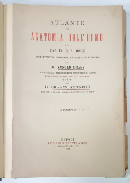 ATLANTE DI ANATOMIA DELL 'UOMO dei C.E.BOCK ...GIOVANNI ANTONELLI , 1891