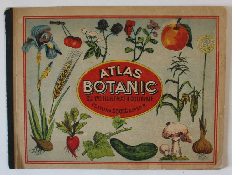 ATLAS BOTANIC , CU 170 ILUSTRATII COLORATE , LUCRARE ..PENTRU UZUL SCOLAR ..EDITIE INTERBELICA, STARE FOARTE BUNA DE CONSERVARE *