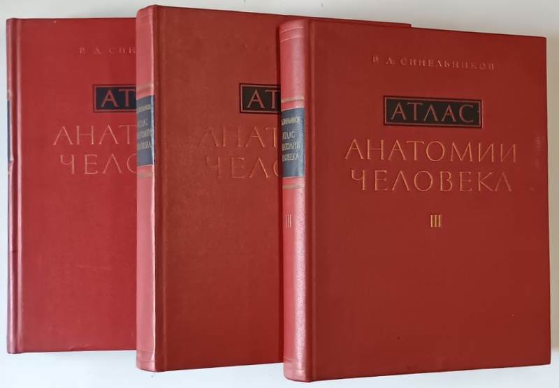 ATLAS DE ANATOMIE UMANA ( EDITIE IN LIMBA RUSA )  VOLUMELE I - III de R. D. SINELNIKOV , 1967 - 1974