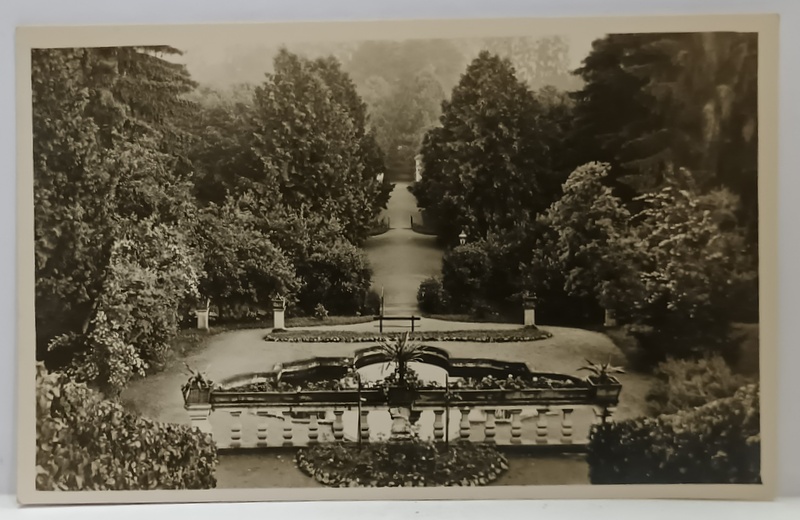 AVRIG , PARCUL SANATORIULUI BRUCKENTHAL VAZUT DIN CLADIREA PRINCIPALA , FOTOGRAFIE FORMAT CARTE POSTALA , INTERBELICA