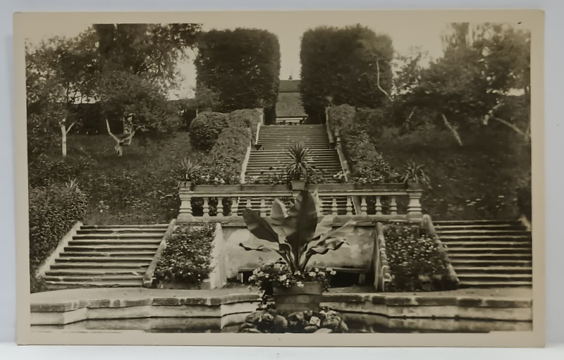 AVRIG , PARCUL TERASAT AL SANATORIULUI BRUCKENTHAL , IN PRIM PLAN FANTANA  DECORATIVA , FOTOGRAFIE FORMAT CARTE POSTALA , INTERBELICA