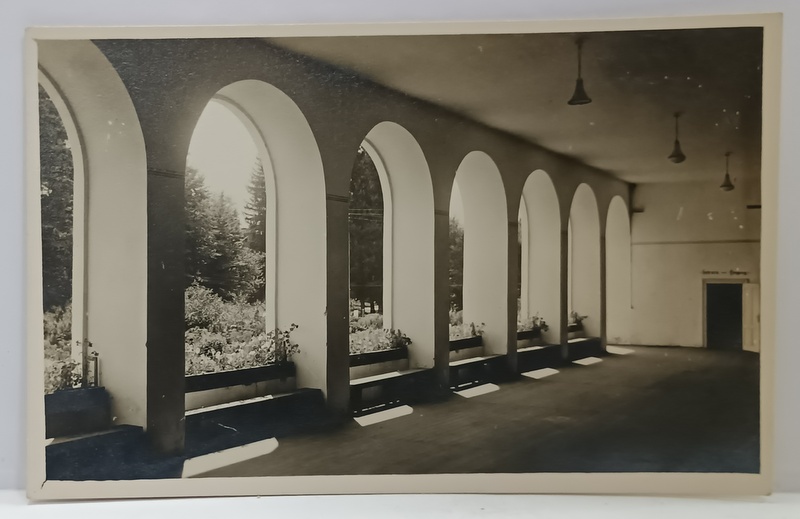 AVRIG , PARK SANATORIUM BRUKENTHAL , ARCADE SPRE GRADINA , FOTOGRAFIE FORMAT CARTE POSTALA , INTERBELICA