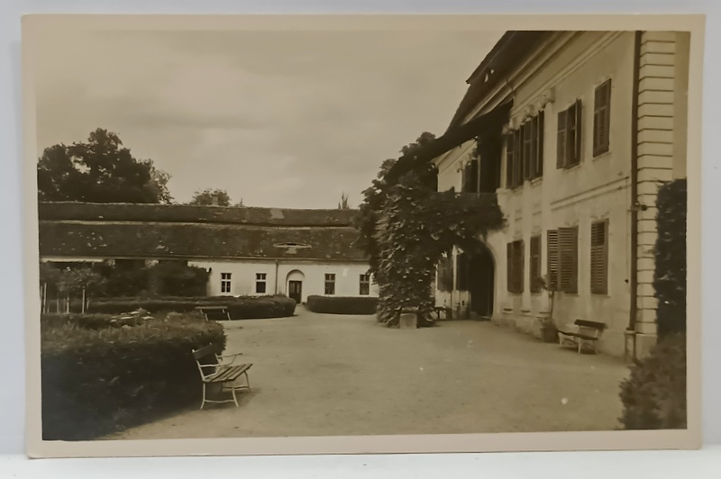 AVRIG , SANATORIUM BRUCKENTHAL , CURTEA INTERIOARA , FOTOGRAFIE FORMAT CARTE POSTALA , INTERBELICA