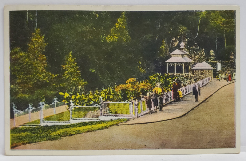 BAILE SLANIC - MOLDOVA , PARCUL IZVOARELOR , CARTE POSTALA , 1933