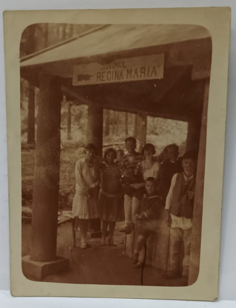 BAILE ZIZIN , IZVORUL REGINA MARIA , FOTOGRAFIE , INCEPUTUL SEC. XX