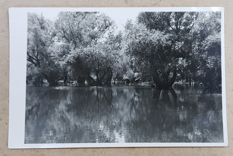 BALTA BRAILEI , CANALUL FILIPOIU , FOTOGRAFIE TIP CARTE POSTALA , MONOCROMA, IULIE 1933