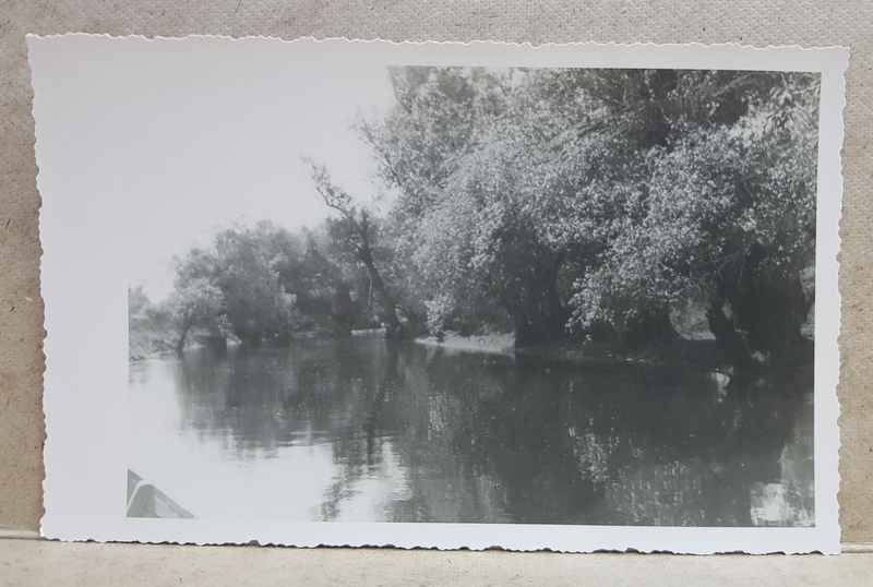 BALTILE BRAILEI , PE COROTISCA , PEISAJ , FOTOGRAFIE TIP CARTE POSTALA , MONOCROMA, PE HARTIE MATA , DATATA 1 MAI 1934