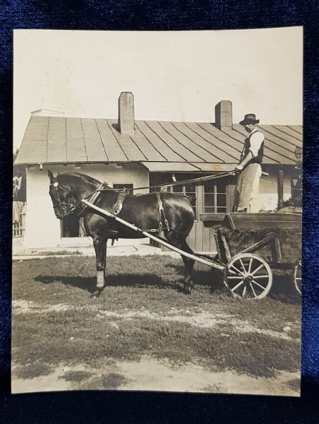 BARBAT IN CARUTA TRASA DE CAL , IN CURTEA UNEI CASE , FOTOGRAFIE MONOCROMA, PE HARTIE CRETATA , DATATA PE VERSO 1920