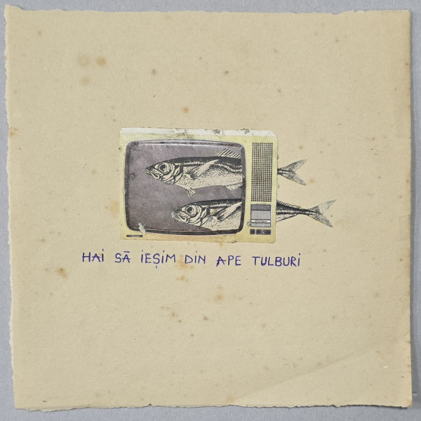 BEATRICE ARZOIU  - SA IESIM DIN APE TULBURI (2022)