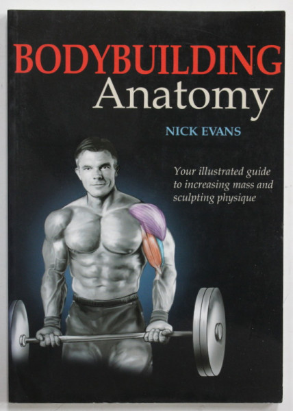 BODYBUILDING ANATOMY by NICK EVANS , illustrated by WILLIAM P. HAMILTON , 2007