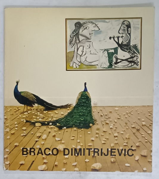 BRACO DIMITRIJEVIC , NEW CULTURESCAPES , CATALOG DE EXPOZITIE , 1981
