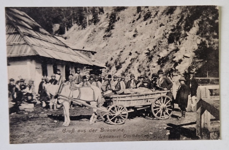 BUCOVINA , VANZATORI LIPOVENI DE FRUCTE , CARTE POSTALA , 1918