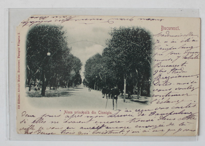 BUCURESTI , ALEEA PRINCIPALA DIN PARCUL CISMIGIU , CARTE POSTALA , CLASICA