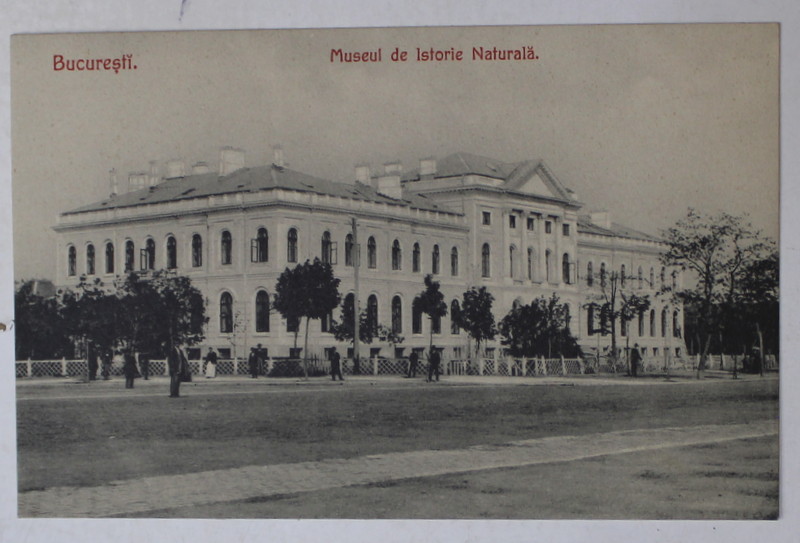 BUCURESTI , MUZEUL DE ISTORIE NATURALA , CARTE POSTALA ILUSTRATA , INCEPUT DE SECOL XX