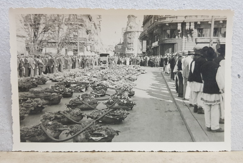 BUCURESTI , OLTENI CU COBILITELE ASEZATE PE  CALEA VICTORIEI ,  PIATA PALATULUI , IN ' SAPTAMANA  FRUCTELOR ' , FOTOGRAFIE TIP CARTE POSTALA , MONOCROMA, NECIRCULATA , DATATA OCTOMBRIE 1934