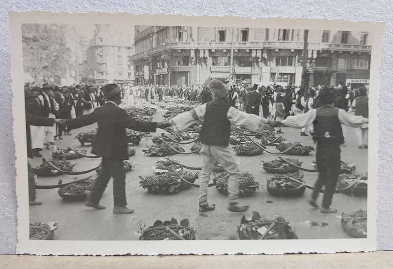 BUCURESTI , OLTENI PRINSI IN HORA IN JURUL COBILITELOR , PE CALEA VICTORIEI , PIATA PALATULUI , IN ' SAPTAMANA FRUCTELOR ' , FOTOGRAFIE TIP CARTE POSTALA , MONOCROMA, NECIRCULATA , DATATA OCTOMBRIE 1934