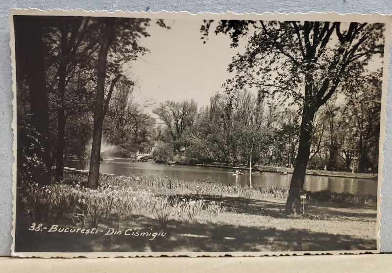 BUCURESTI , PARCUL CISMIGIU , CARTE POSTALA , INTERBELICA