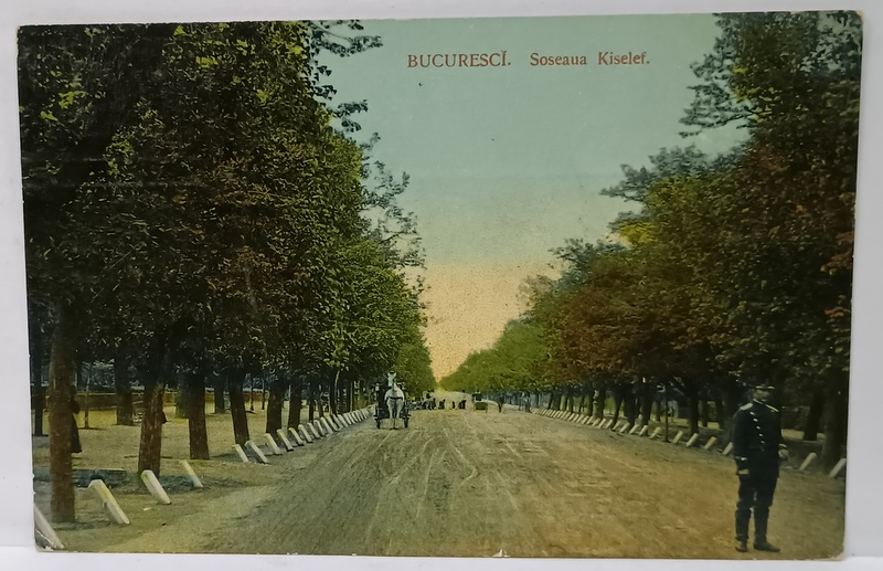 BUCURESTI , SOSEAUA KISELEFF, CU GARDIAN SI TRASURA CU CAI IN PLAN INDEPARTAT , CARTE POSTALA ILUSTRATA,1914