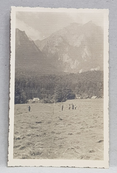 BUSTENI , COSITUL FANULUI PE ZAMORA , IN FUNDAL VALEA JEPILOR SI COSTILA , FOTOGRAFIE TIP CARTE POSTALA , MONOCROMA, NECIRCULATA , DATATA AUGUST 1934