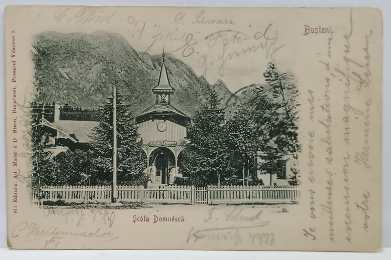 BUSTENI , SCOALA DOMNEASCA , CARTE POSTALA , CLASICA , 1904