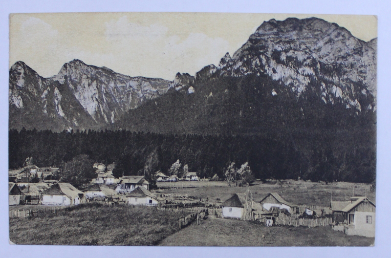 BUSTENI  - VEDERE DE PE VALEA ALBA SPRE MUNTII JEPI SI CARAIMAN , CARTE POSTALA ILUSTRATA , MONOCROMA, CIRCULATA , DATATA 1912