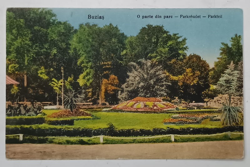 BUZIAS , O PARTE DIN PARC , CARTE POSTALA , 1927