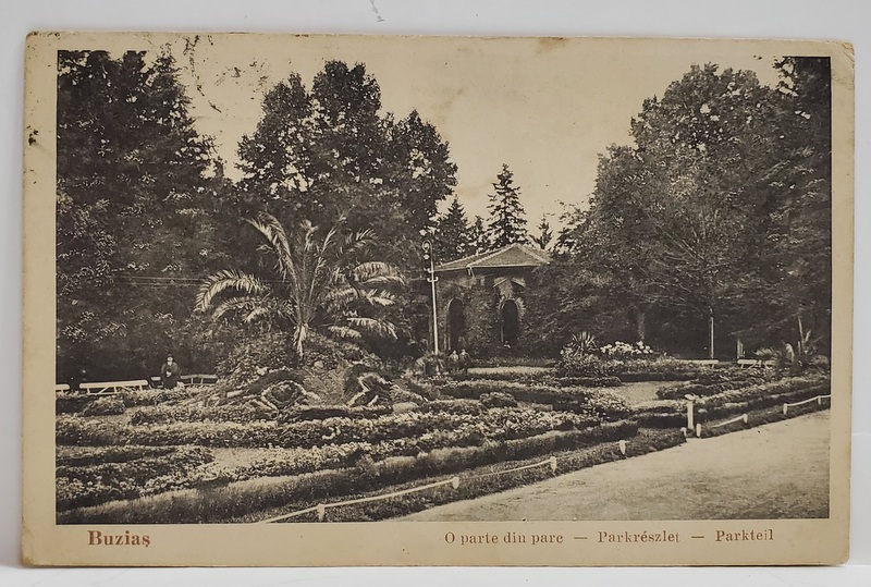 BUZIAS , O PARTE DIN PARC , CARTE POSTALA , 1934