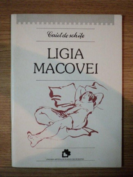 CAIET DE SCHITE de LIGIA MACOVEI