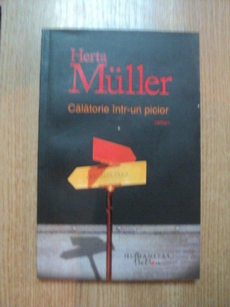 CALATORIE INTR - UN PICIOR de HERTA MULLER