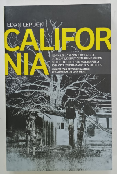 CALIFORNIA by EDAN LEPUCKI , 2015, PREZINTA URME DE UZURA