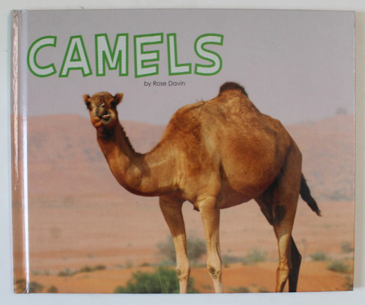 CAMELS , MEET DESERT ANIMALS by ROSE DAVIN , 2017