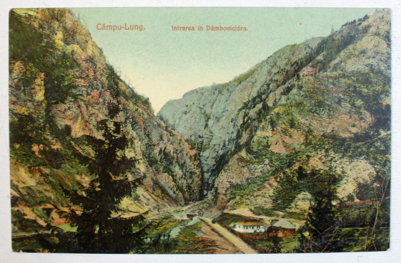 CAMPU - LUNG - INTRAREA IN DAMBOVICIOARA , CARTE POSTALA ILUSTRATA