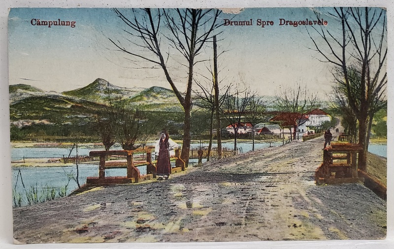 CAMPULUNG , DRUMUL SPRE DRAGOSLAVELE , CARTE POSTALA , 1924