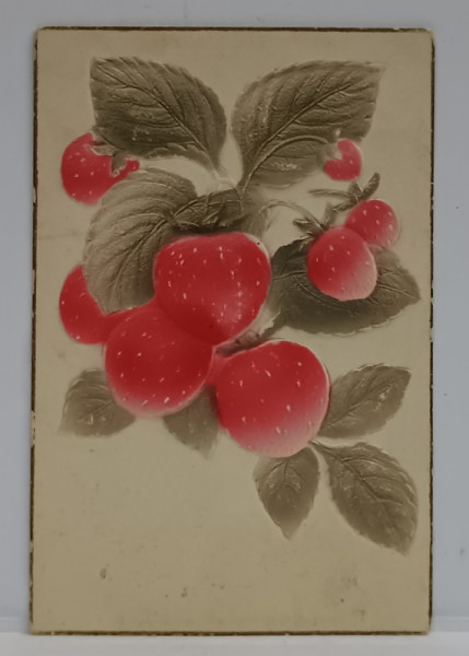 CAPSUNI , CARTE POSTALA ILUSTRATA , EMBOSATA , 1908