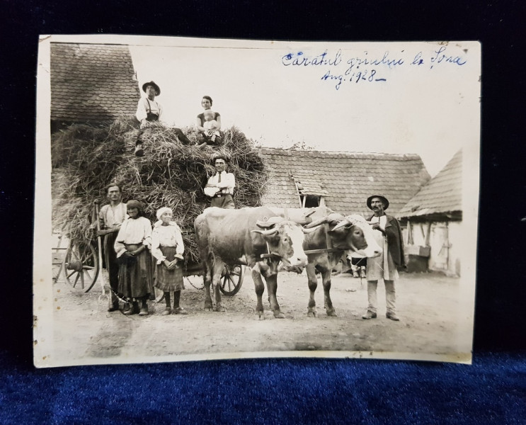 Caratul graului la Sona. Aug. 1928 - Fotografie originala