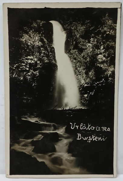 CASCADA ' URLATOAREA ' , BUSTENI , FOTOGRAFIE TIP CARTE POSTALA , INTERBELICA