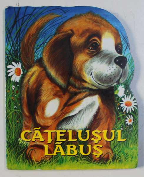 CATELUSUL LABUS de JAN KAZIMIERS SIWEK , ilustratii de KRZYSZTOF WISNIEWSKI , 2007