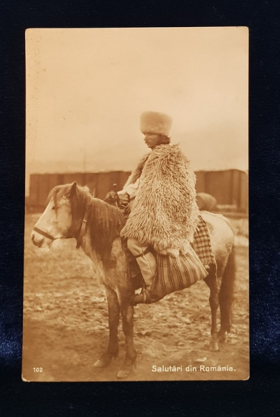 CIOBAN PE CATAR , FOTOGRAFIE TIP CARTE POSTALA, INTERBELICA