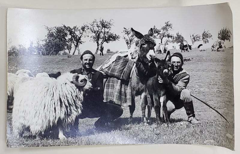 CIOBANI CU MAGARUSI SI BERBEC  , SPRE VARFUL CINDRELU , PE DRUM DE LA CRASNA - GORJ , FOTOGRAFIE , ANII ' 70