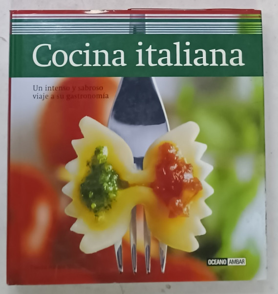 COCINA ITALIANA  de CLAUDIA ADRIANA STAFFIERI , TEXT IN LIMBA SPANIOLA , 2008