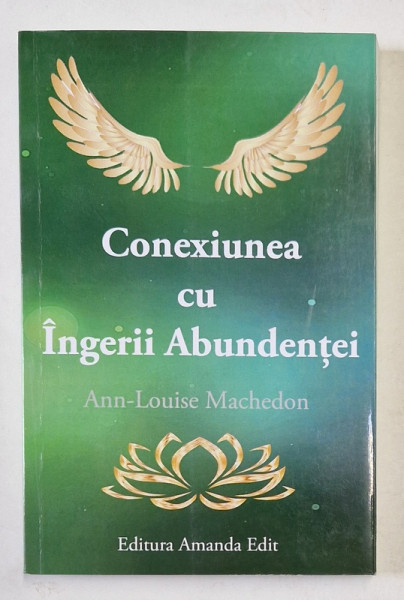 CONEXIUNEA CU INGERII ABUNDENTEI de ANN - LOUISE MACHEDON , 2018