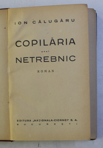 COPILARIA UNUI NETREBNIC. ROMAN de ION CALUGARU